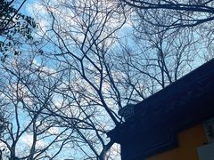 -雨花胜境
