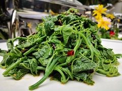 -云里小坐·小院里·团建·宴请·下午茶(三圣乡店)
