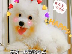 -甲乙饼·手工牛肉饼(天通苑华联店)