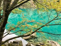 -叠溪松坪沟景区