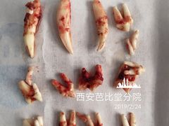 -芭比堂动物医院·犬猫全科·异宠专科(雁塔分院)