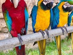 -西霞口神雕山野生动物世界