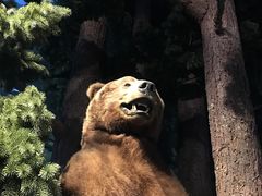 -陕西自然博物馆