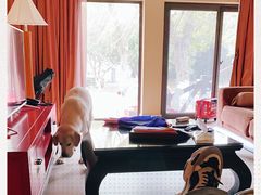 -太阳岛度假酒店