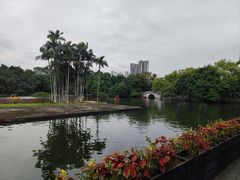 -荔湾湖公园