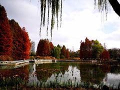 -白塘生态植物园