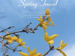 -北京国际鲜花港