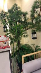 -芳朵美容养生SPA