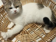 -怪兽屋·羊驼·猫咖·狗咖(俊华广场店)