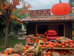 -HERRE·FARM 赫尔露营农场·团建聚会包场