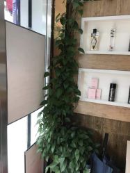 -环球蝶上美业连锁