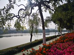 -羊山湖公园