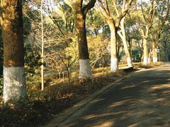-宁波野生动物园
