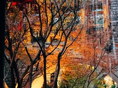 -鱼桥巷·美学川菜