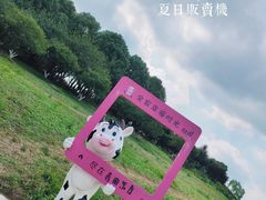 -秀丽东方