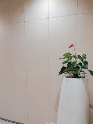 -Yestar重庆艺星医疗美容医院