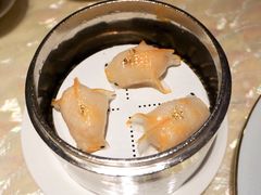 金鱼饺-8餐厅(新葡京酒店)