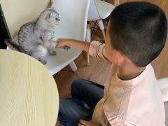 -李小姐の猫咖啡馆(五角场店)