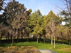 -木塔寺遗址生态公园