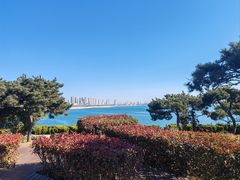 -青岛金沙滩