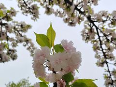 -江南大学(蠡湖校区)