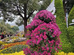 -南山植物园