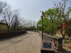 -大槐树寻根祭祖园