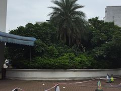 -渔旺喜宴(银座店)