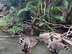 -长鹿旅游休博园