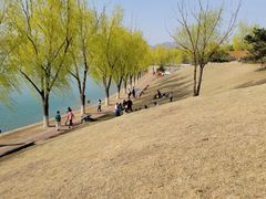 -青龙湖公园