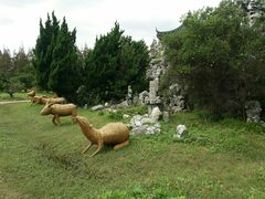 -上海长兴岛郊野公园