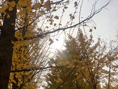 -汉景帝阳陵博物院