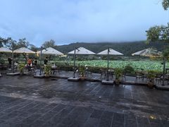 -比顿咖啡(和顺古镇店)