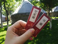 -九十九顶毡房(阜石路店)