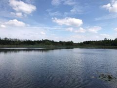 -溱湖国家湿地公园