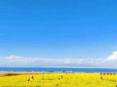 -青海湖国家重点风景名胜区