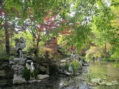 -上海醉白池公园