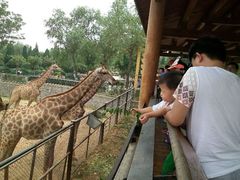 android_upload_pic-石家庄市动物园