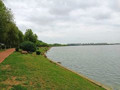 -丁香湖公园