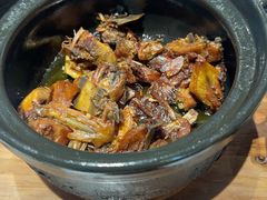-斯丹姜母鸭·古法干香(田安南路店)