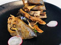 -望乡楼上海菜(日月光店)