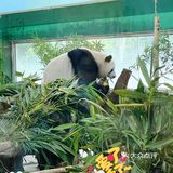 广州动物园20元门票，超抵，还要什么长隆野生动物园！