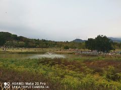 -牛岗山公园