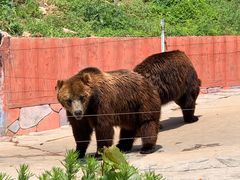 -南京金牛湖风景区