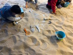 -恐龙探索乐园(磁器口店)