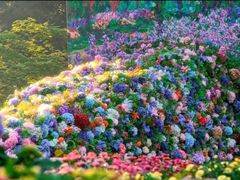 -上海共青森林公园