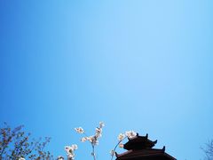 -棒棰岛宾馆景区