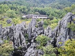 -千岛湖石林