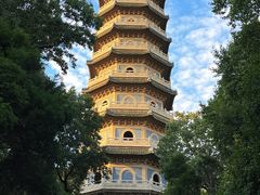 -灵谷景区