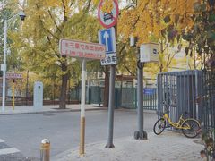 -三里屯东五街银杏大道